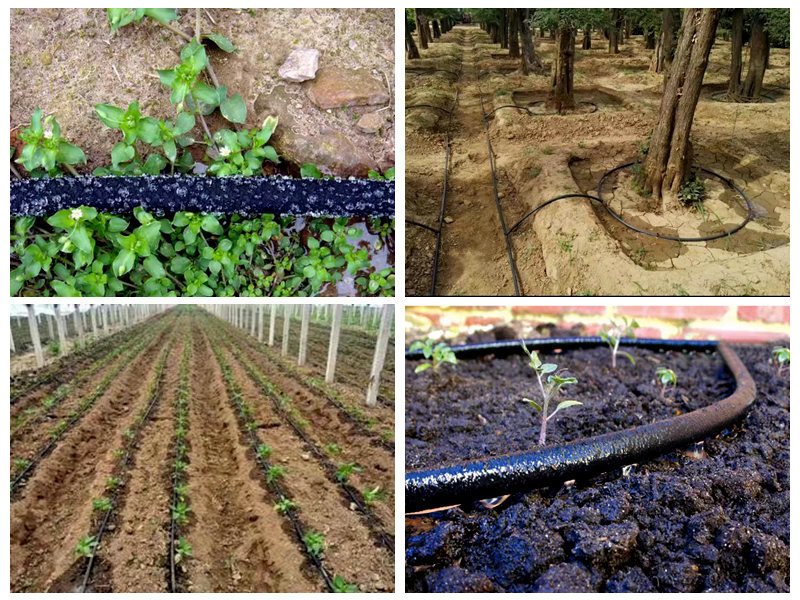 관개에 고무 담그는 호스를 어떻게 사용합니까?